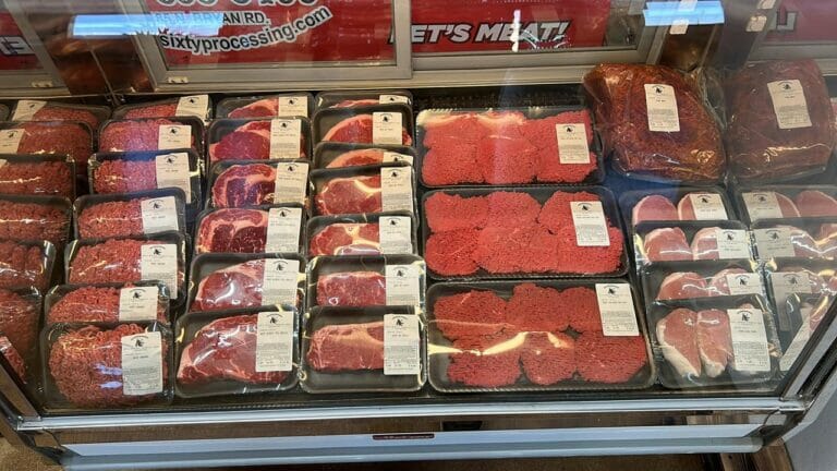 374777403_152189271267920_2342622011302911117_n