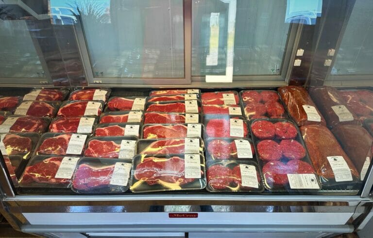 375588766_153390697814444_1984181146816909672_n